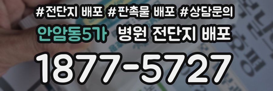 안암동5가 병원 전단지 배포