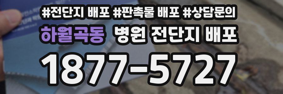 하월곡동 병원 전단지 배포