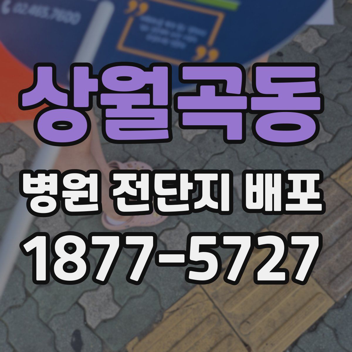 상월곡동 병원 전단지 배포