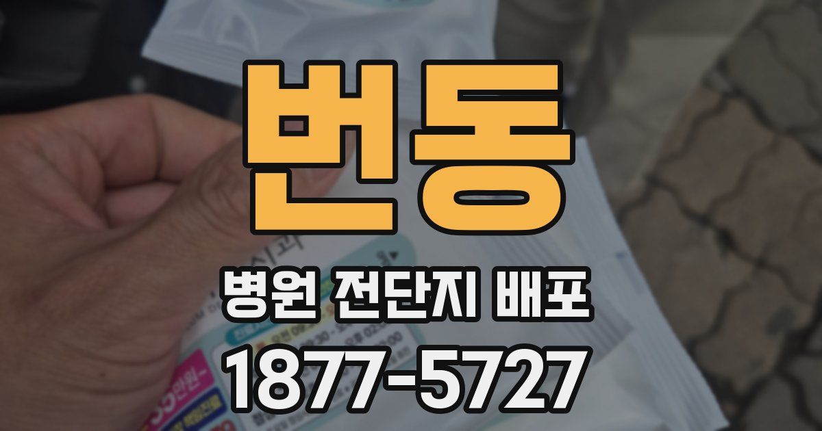 번동 병원 전단지 배포