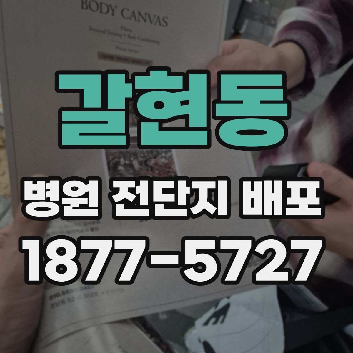 갈현동 병원 전단지 배포