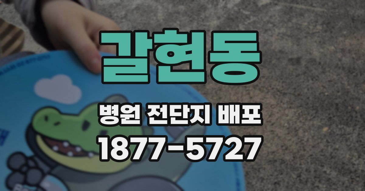 갈현동 병원 전단지 배포