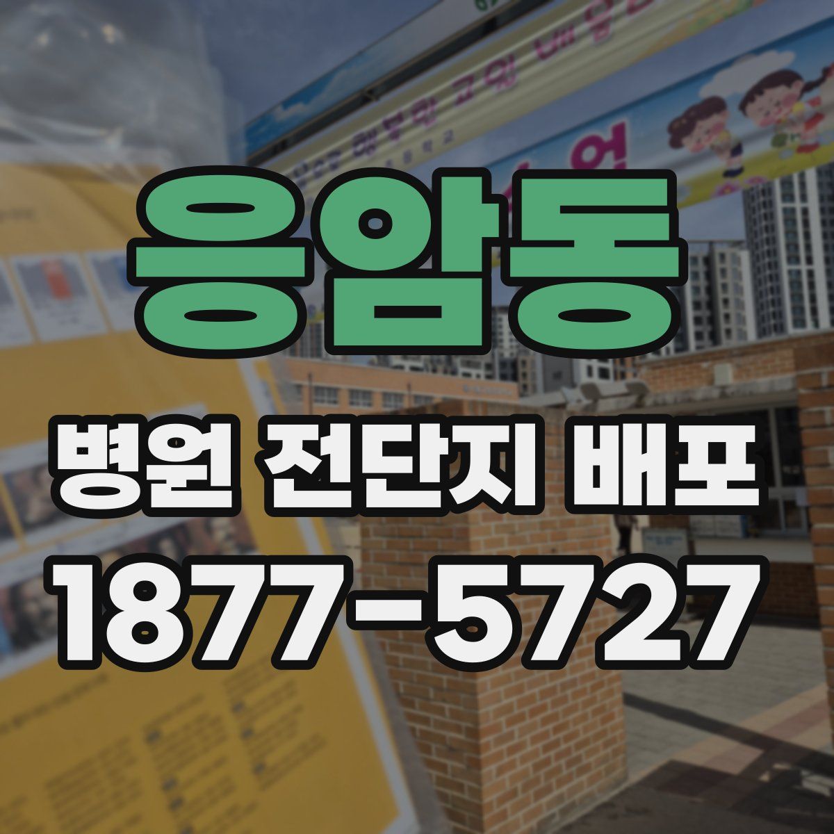 응암동 병원 전단지 배포