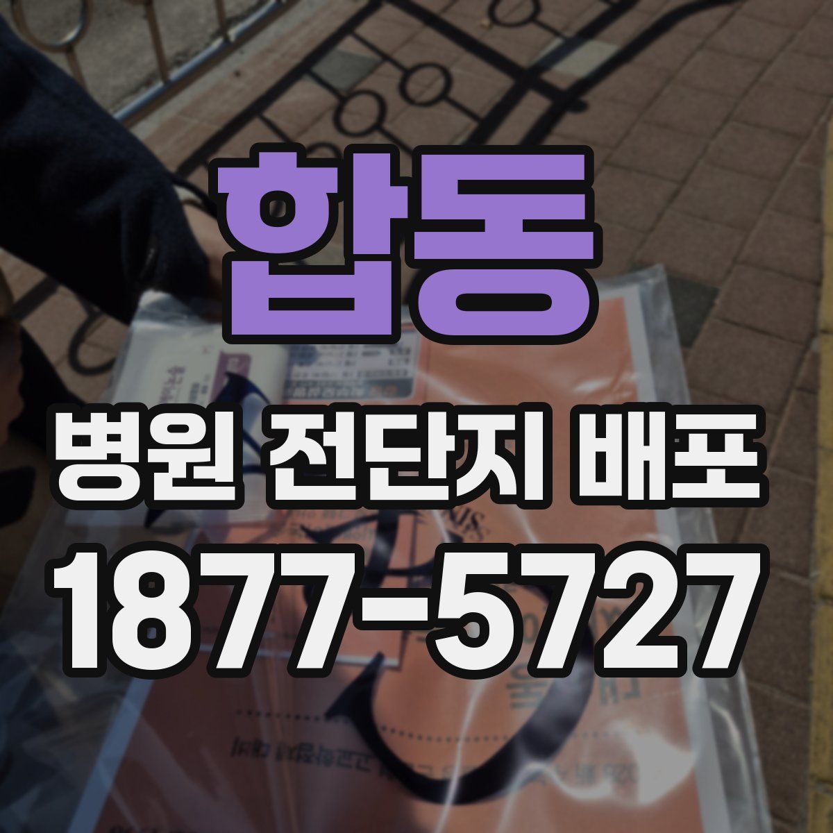 합동 병원 전단지 배포