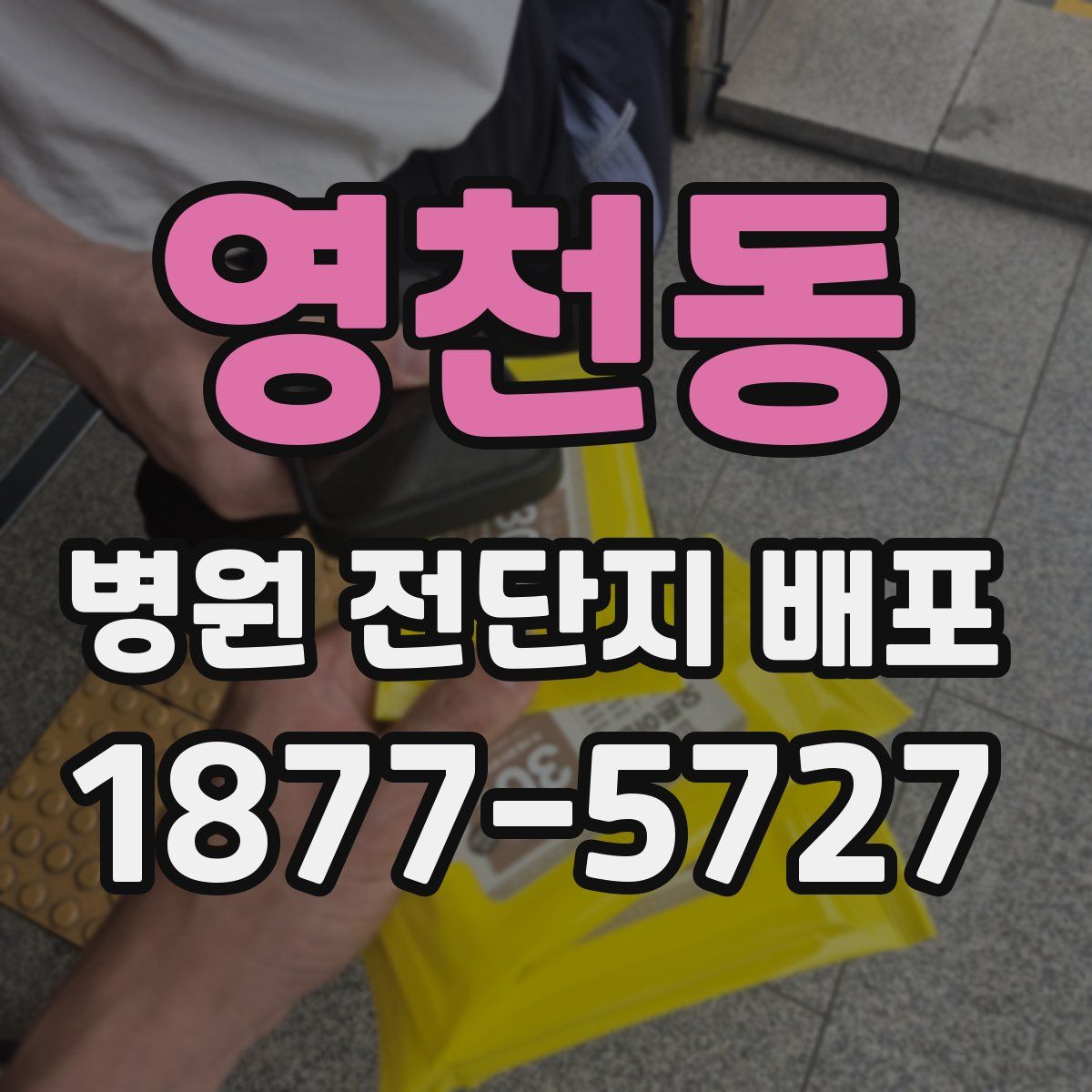 영천동 병원 전단지 배포