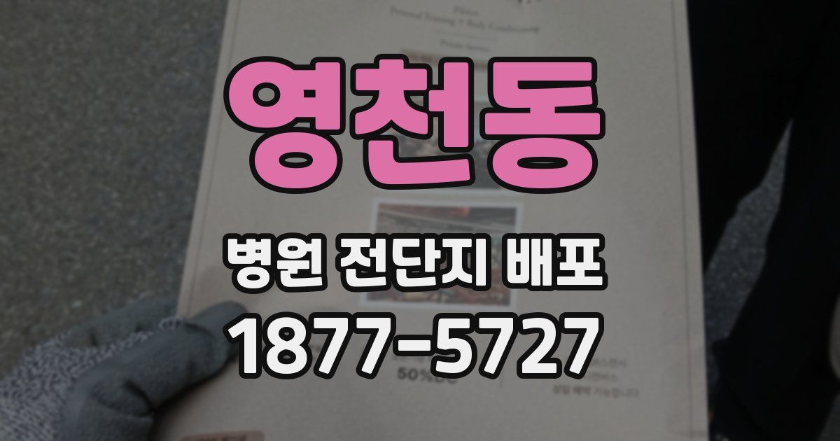영천동 병원 전단지 배포