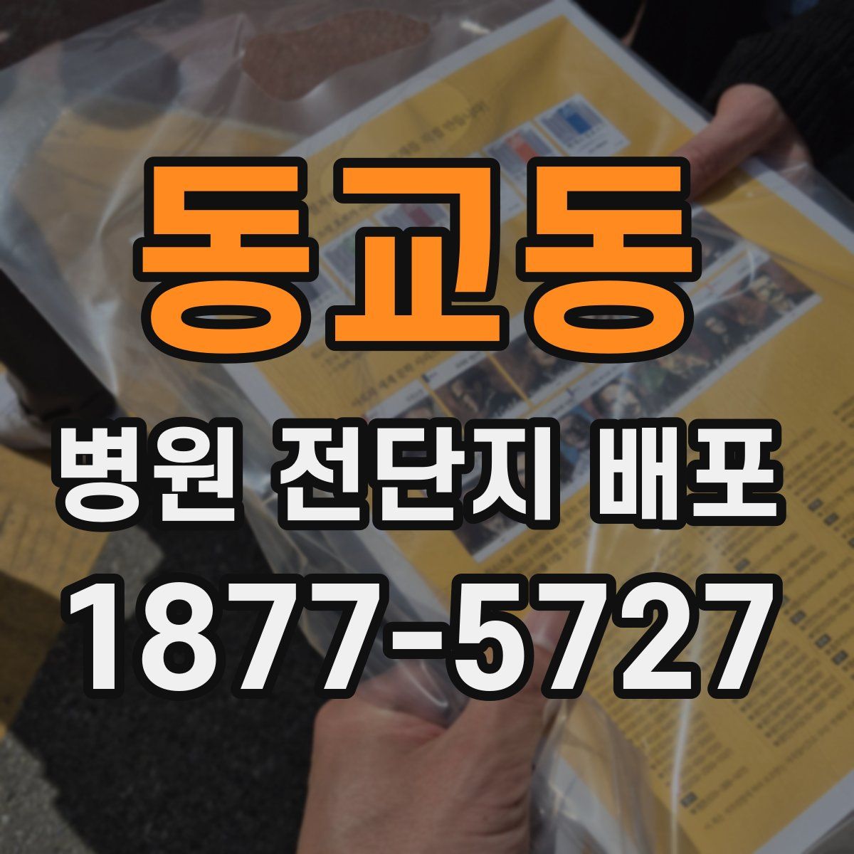 동교동 병원 전단지 배포