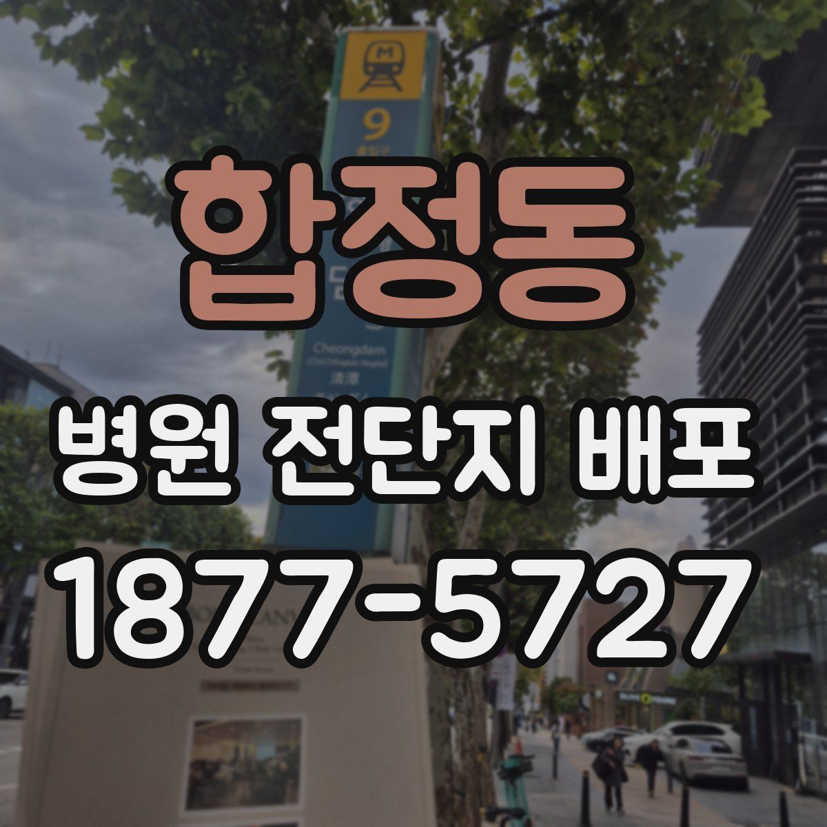 합정동 병원 전단지 배포