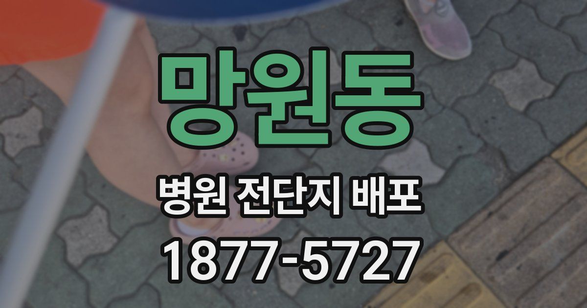 망원동 병원 전단지 배포