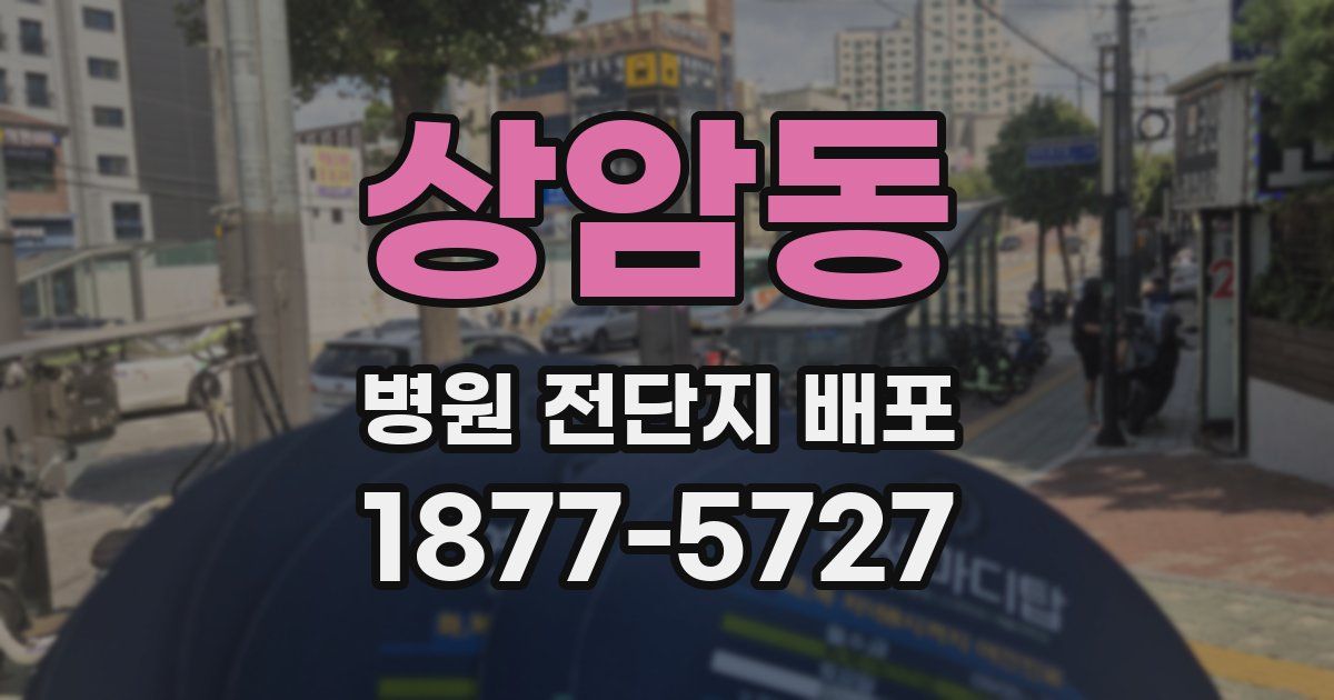 상암동 병원 전단지 배포