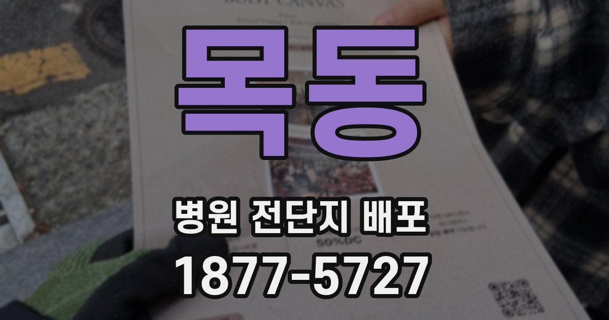 목동 병원 전단지 배포