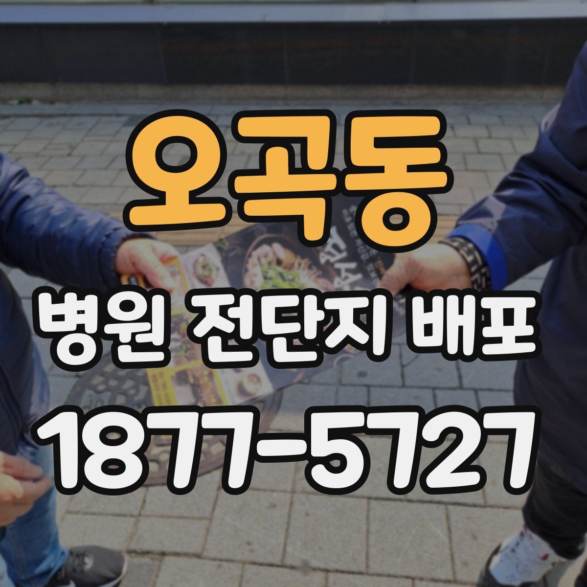 오곡동 병원 전단지 배포