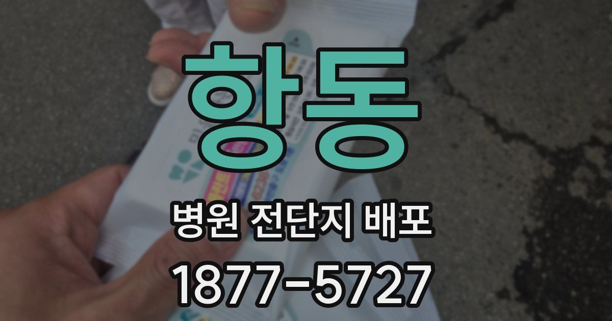 항동 병원 전단지 배포