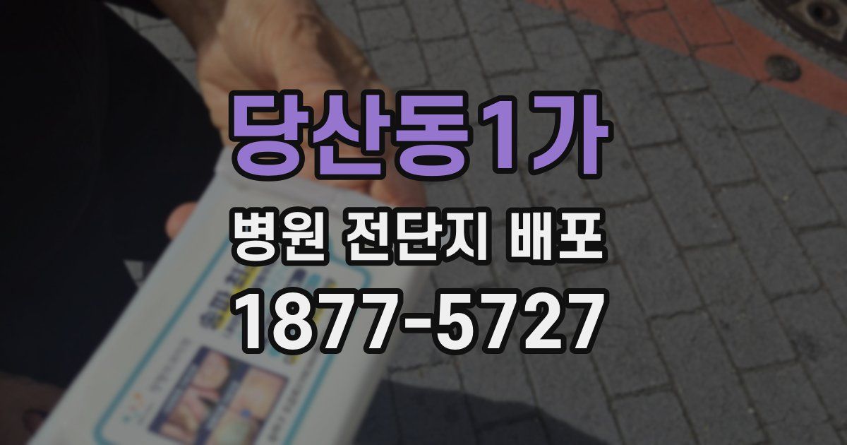 당산동1가 병원 전단지 배포