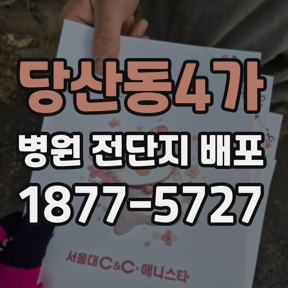 당산동4가 병원 전단지 배포