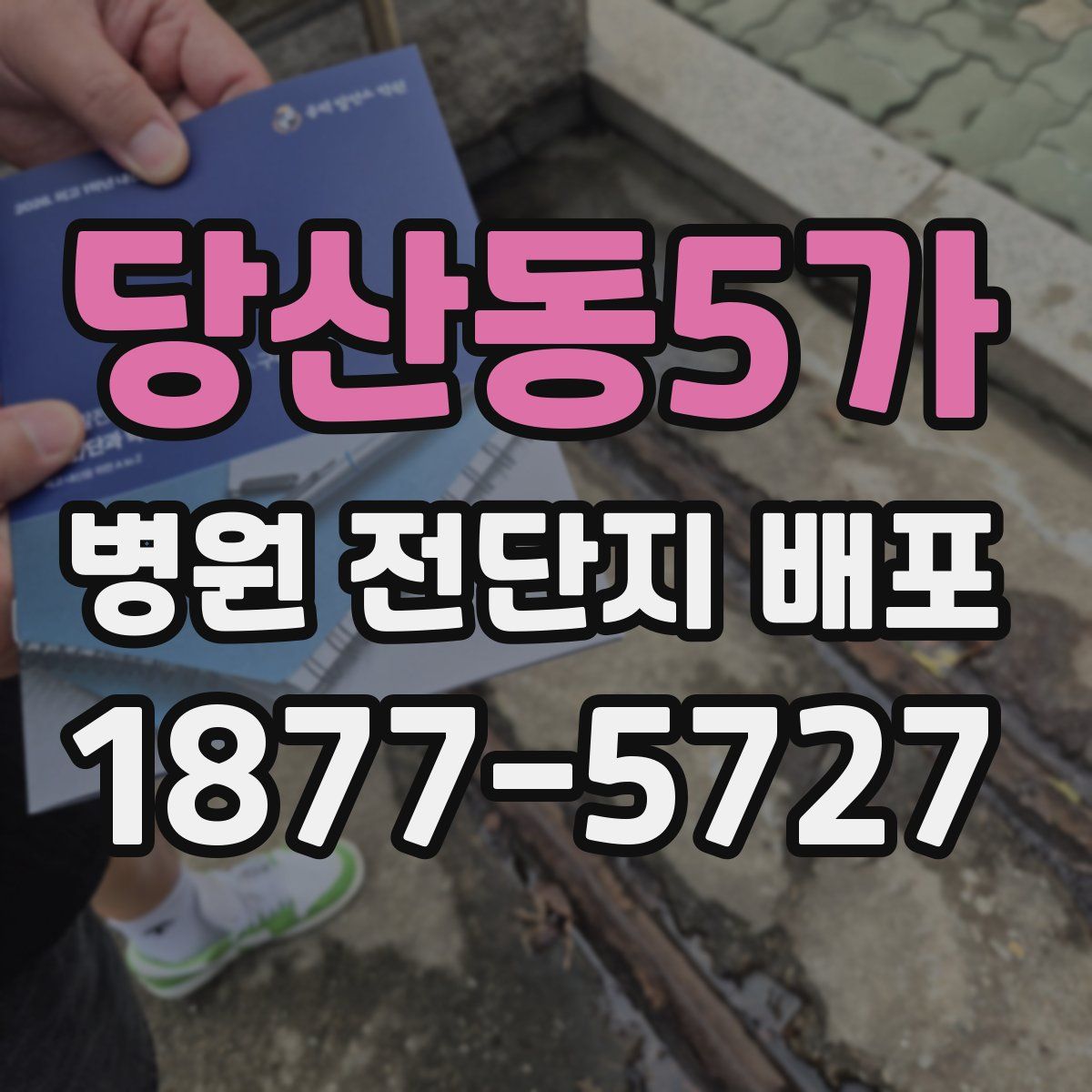 당산동5가 병원 전단지 배포