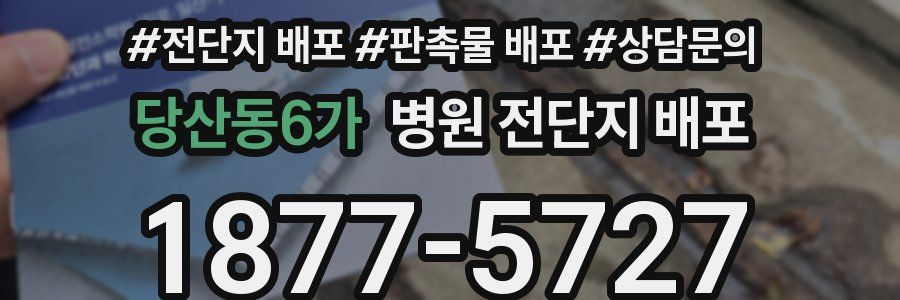 당산동6가 병원 전단지 배포