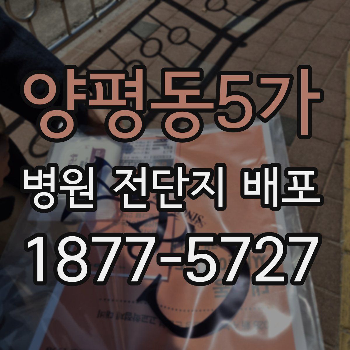 양평동5가 병원 전단지 배포