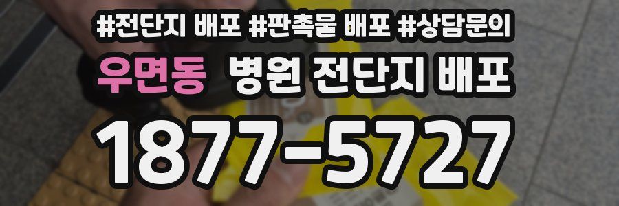 우면동 병원 전단지 배포
