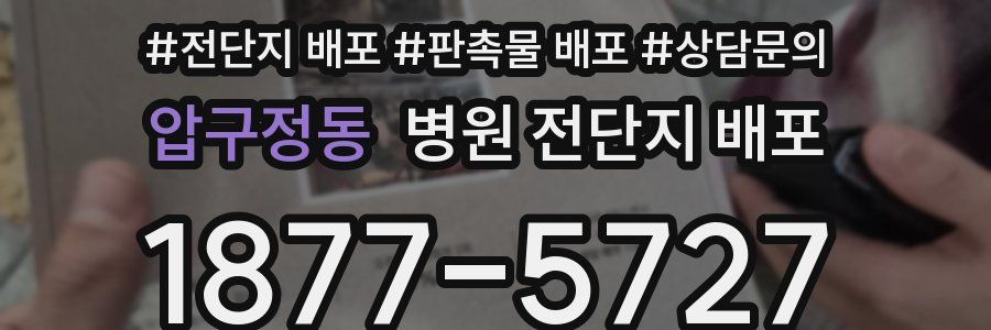 압구정동 병원 전단지 배포