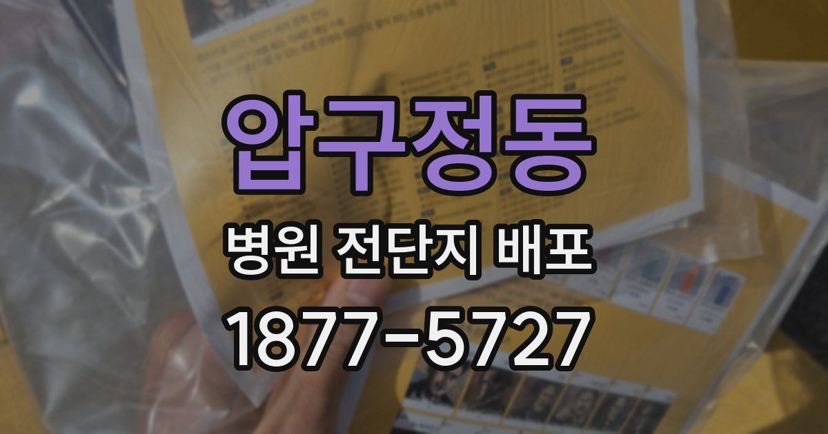 압구정동 병원 전단지 배포