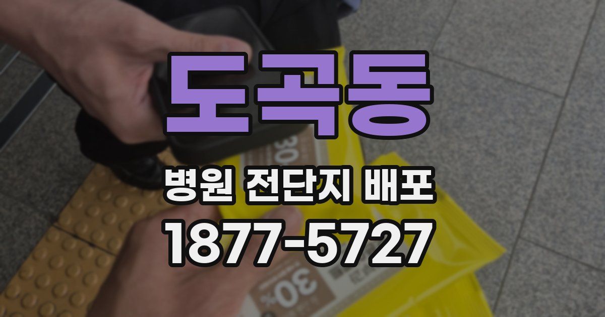 도곡동 병원 전단지 배포