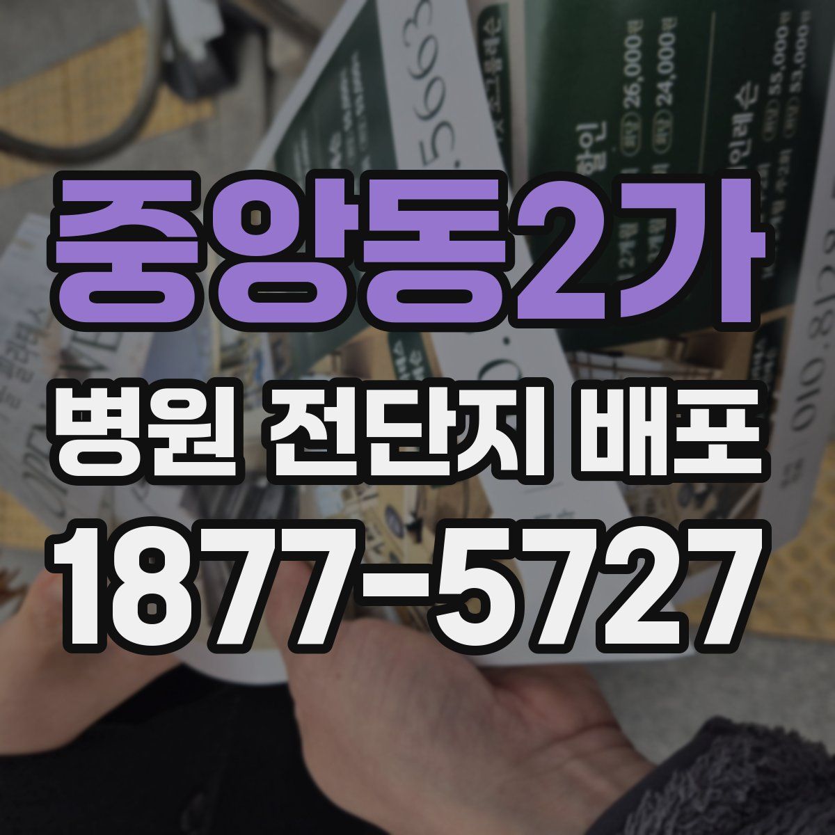 중앙동2가 병원 전단지 배포