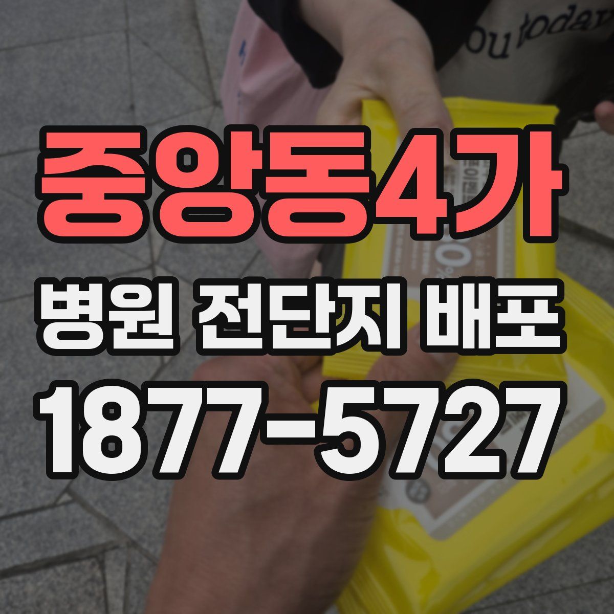 중앙동4가 병원 전단지 배포