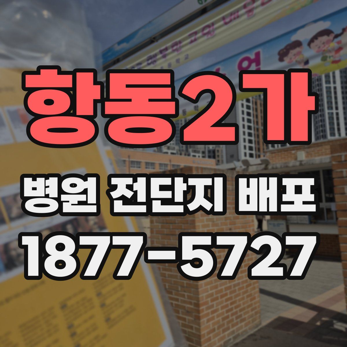 항동2가 병원 전단지 배포
