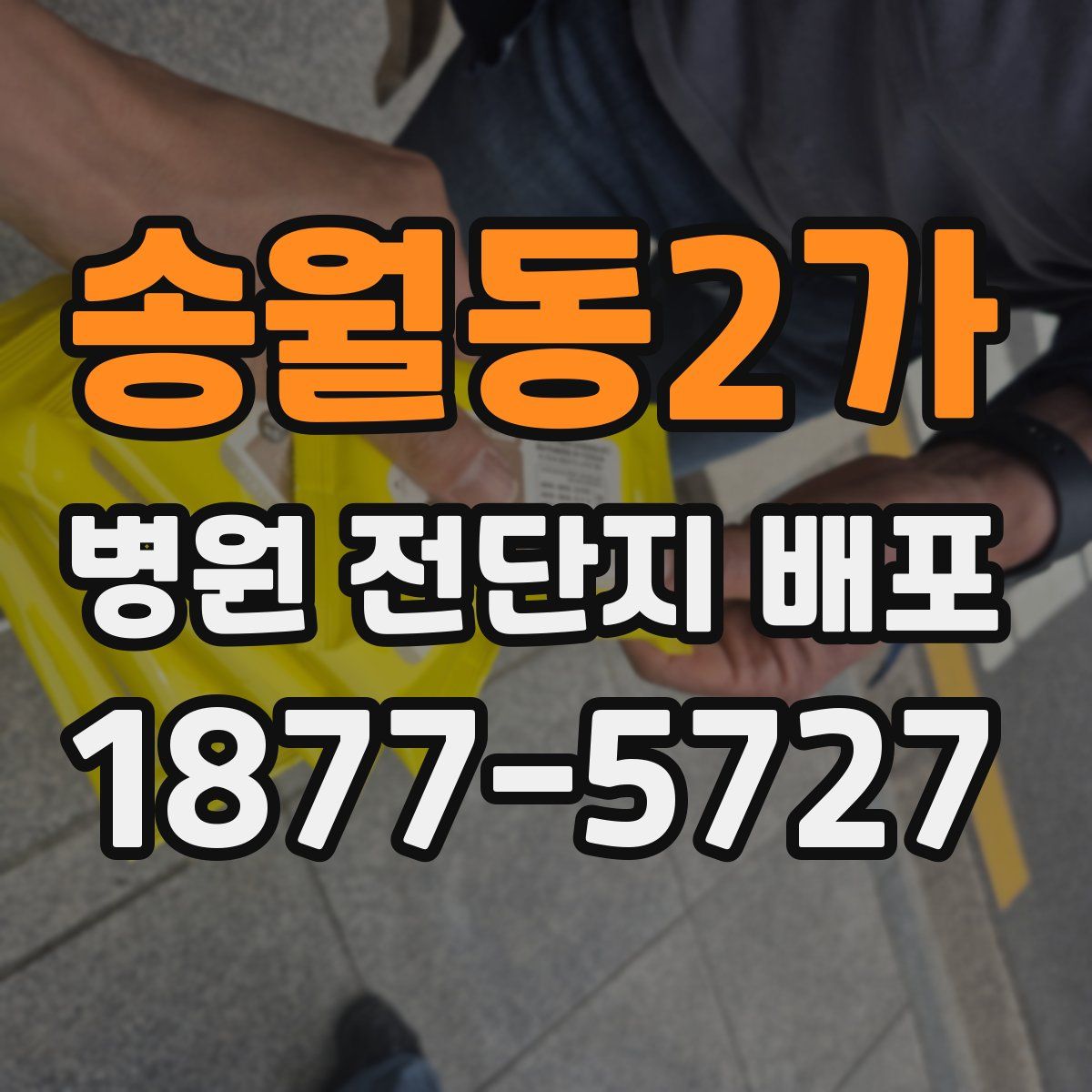 송월동2가 병원 전단지 배포