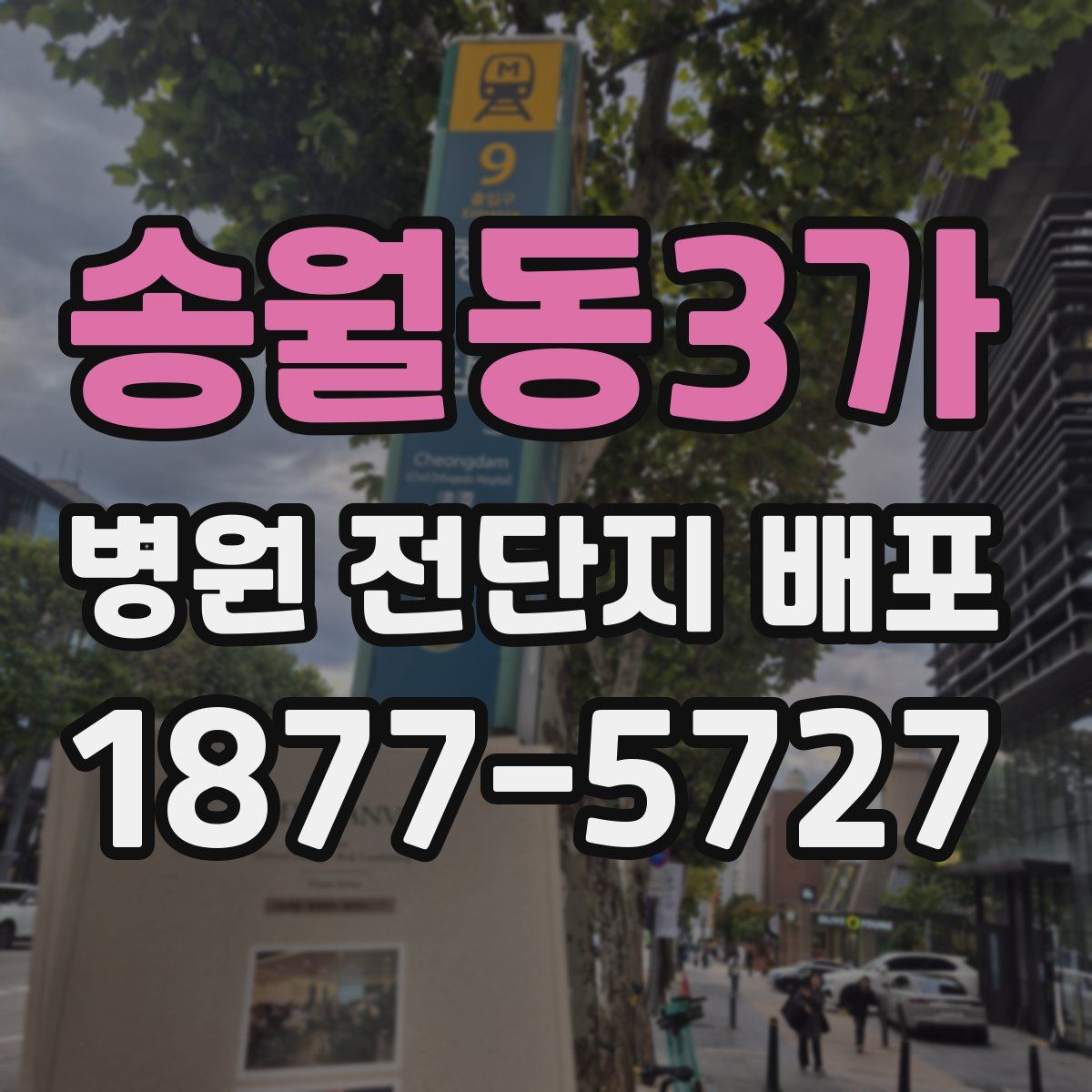 송월동3가 병원 전단지 배포