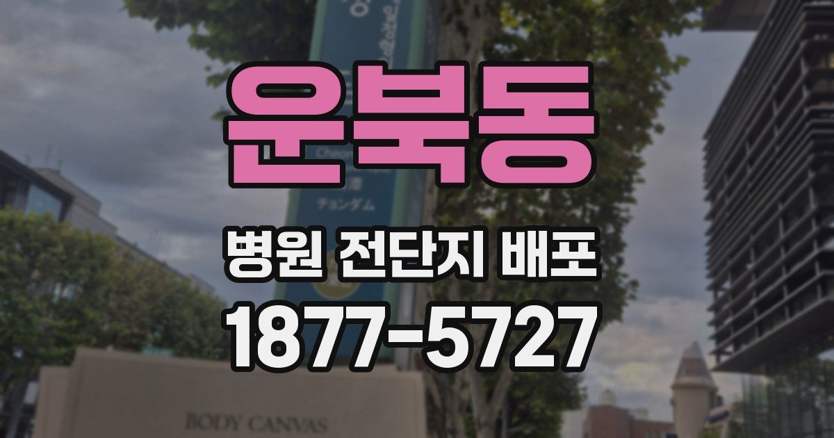 운북동 병원 전단지 배포