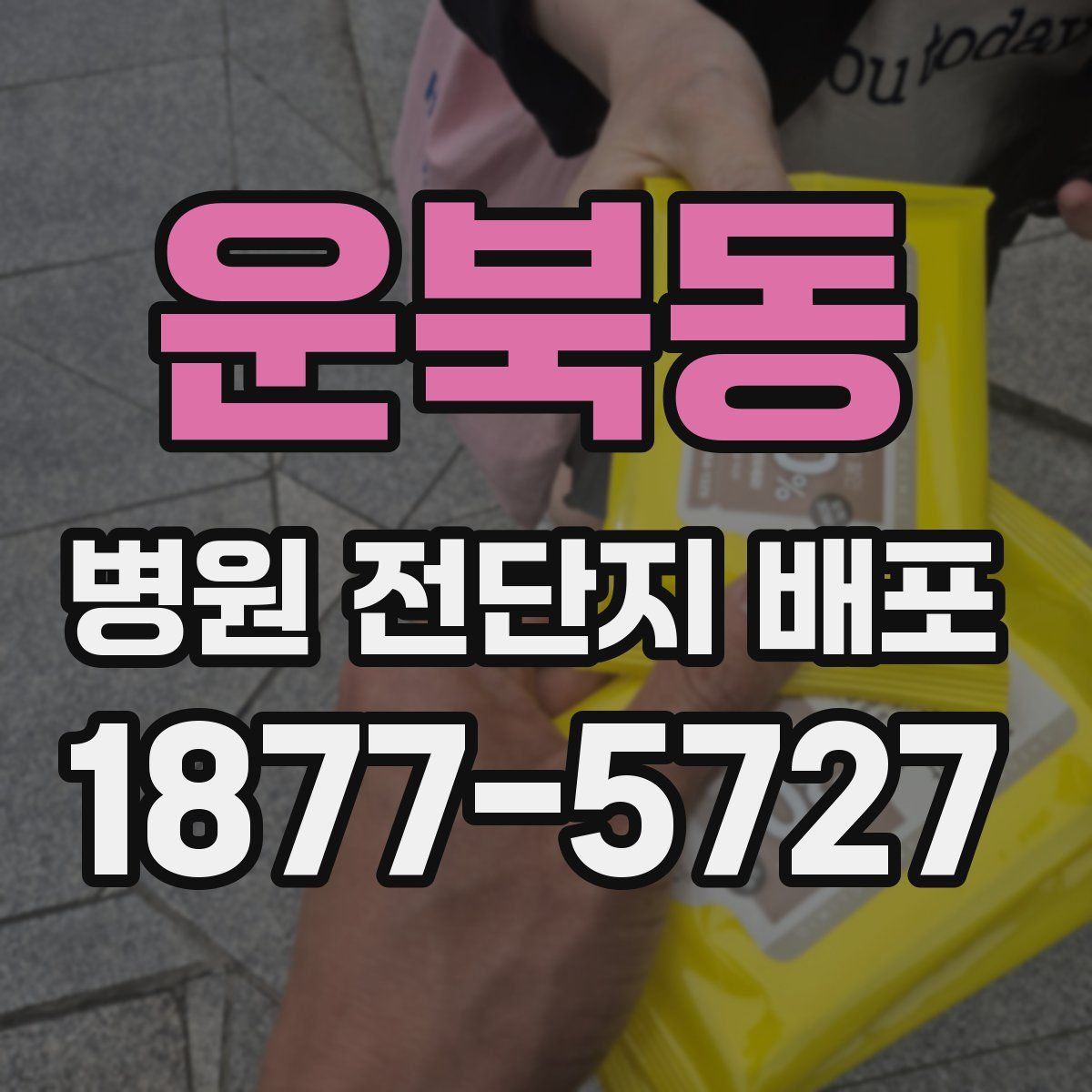 운북동 병원 전단지 배포