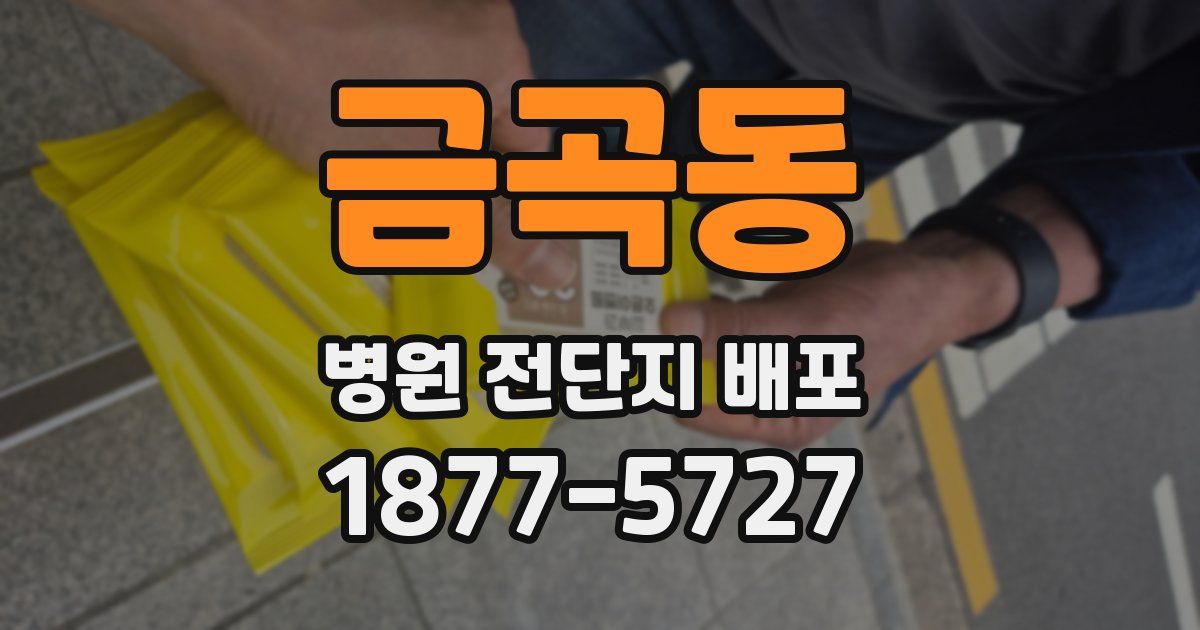 금곡동 병원 전단지 배포