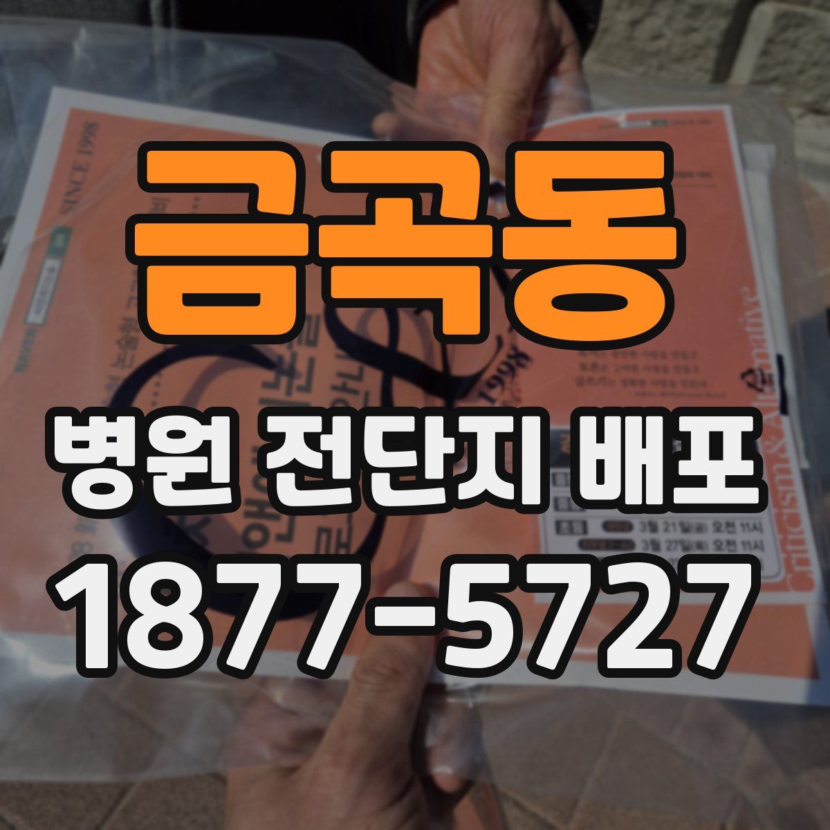 금곡동 병원 전단지 배포