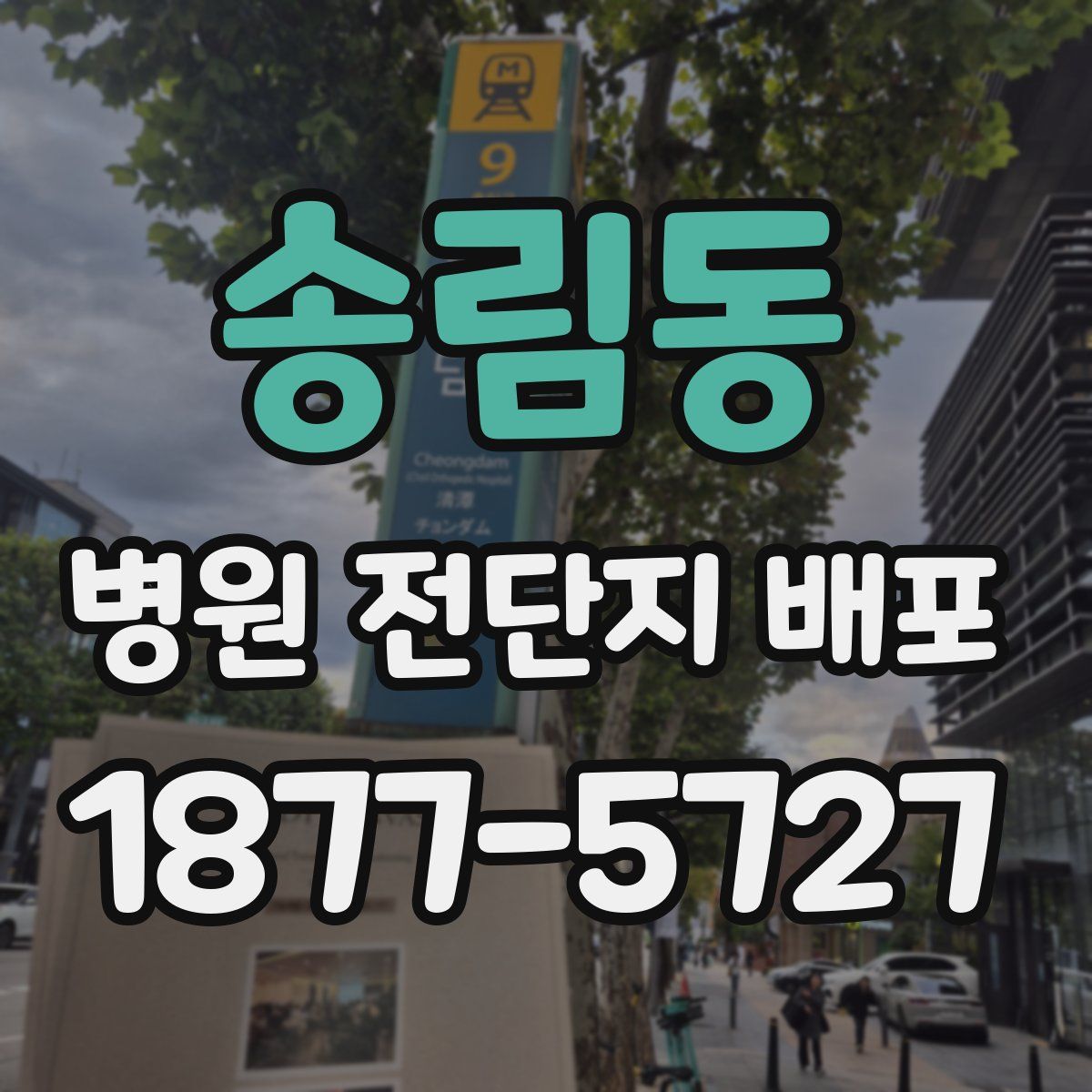송림동 병원 전단지 배포