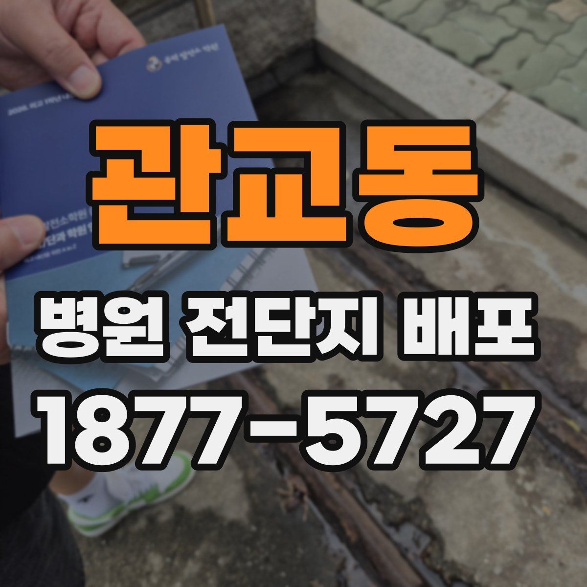 관교동 병원 전단지 배포