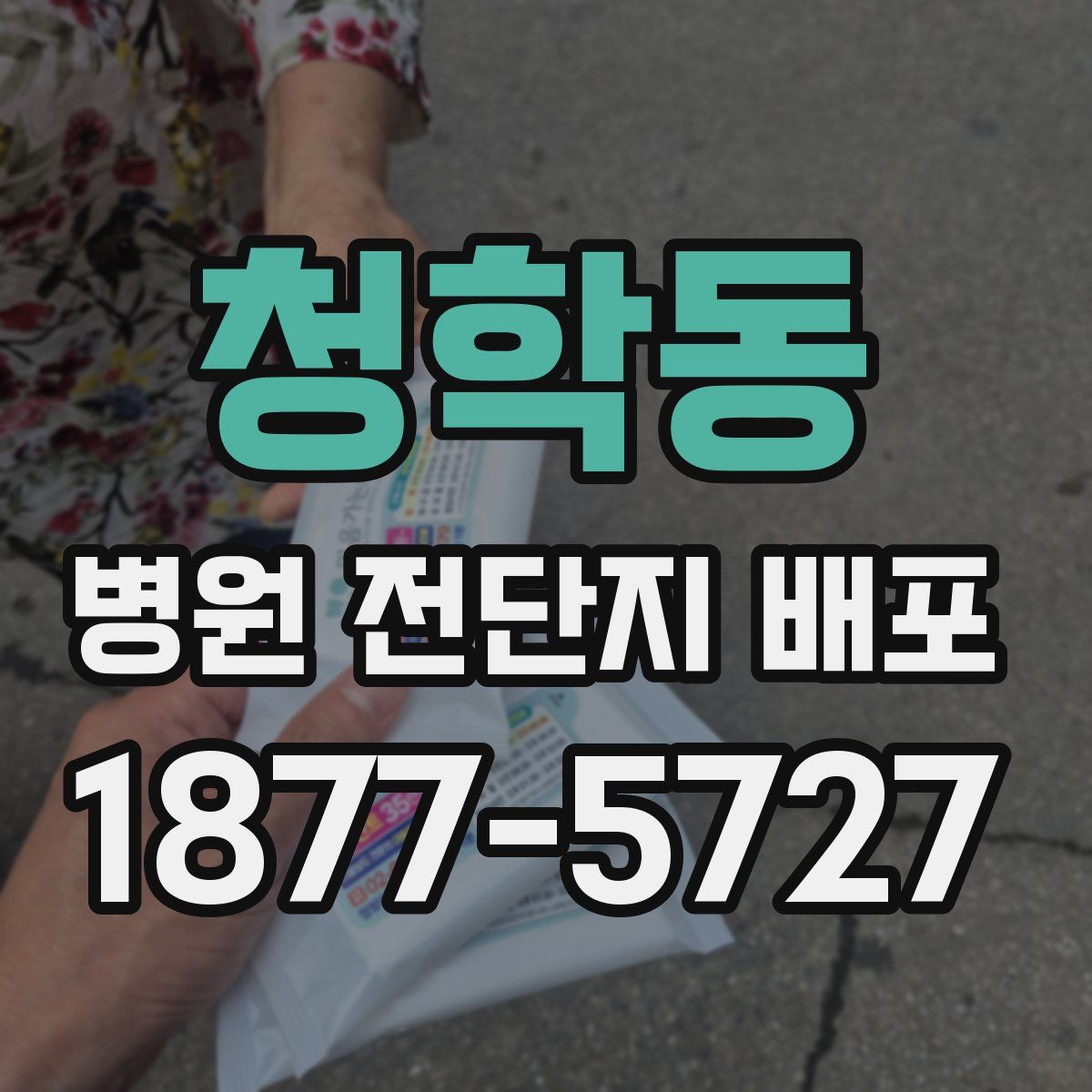 청학동 병원 전단지 배포