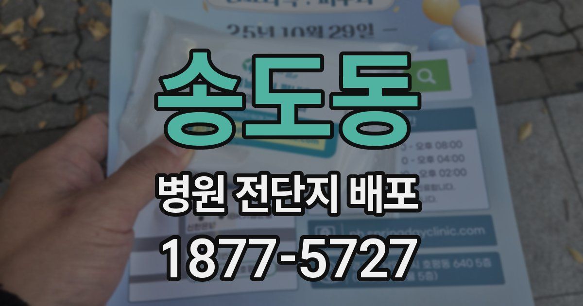 송도동 병원 전단지 배포