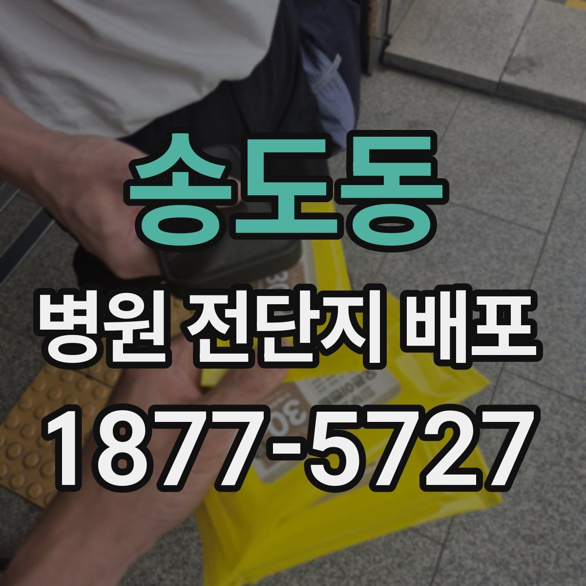 송도동 병원 전단지 배포