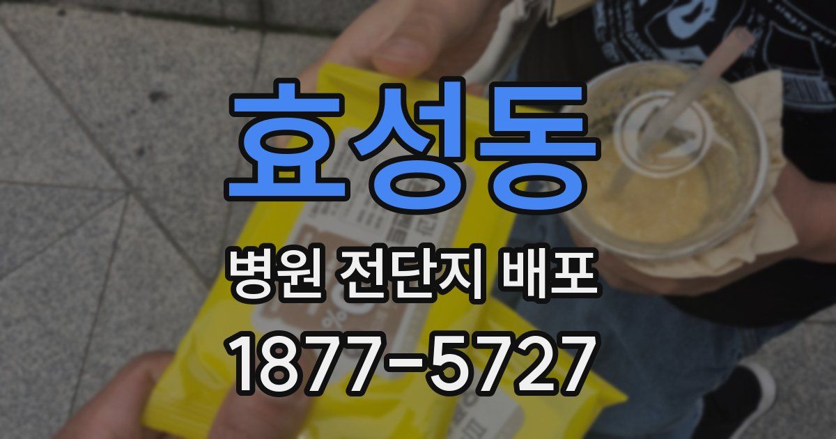 효성동 병원 전단지 배포