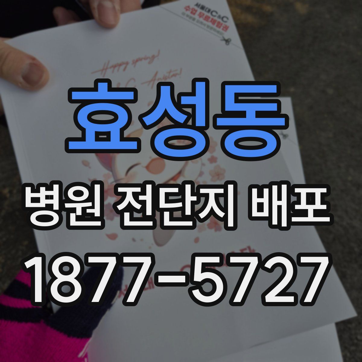 효성동 병원 전단지 배포