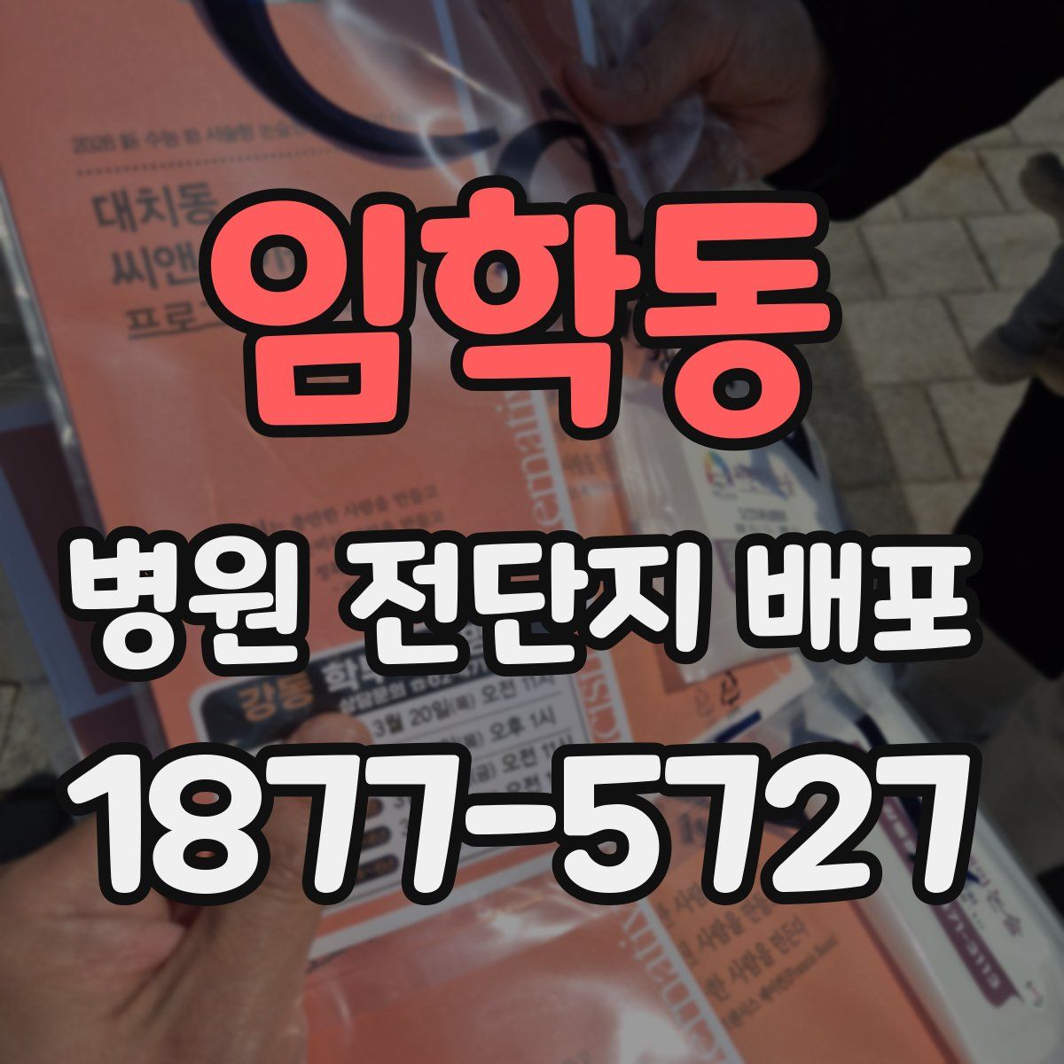 임학동 병원 전단지 배포
