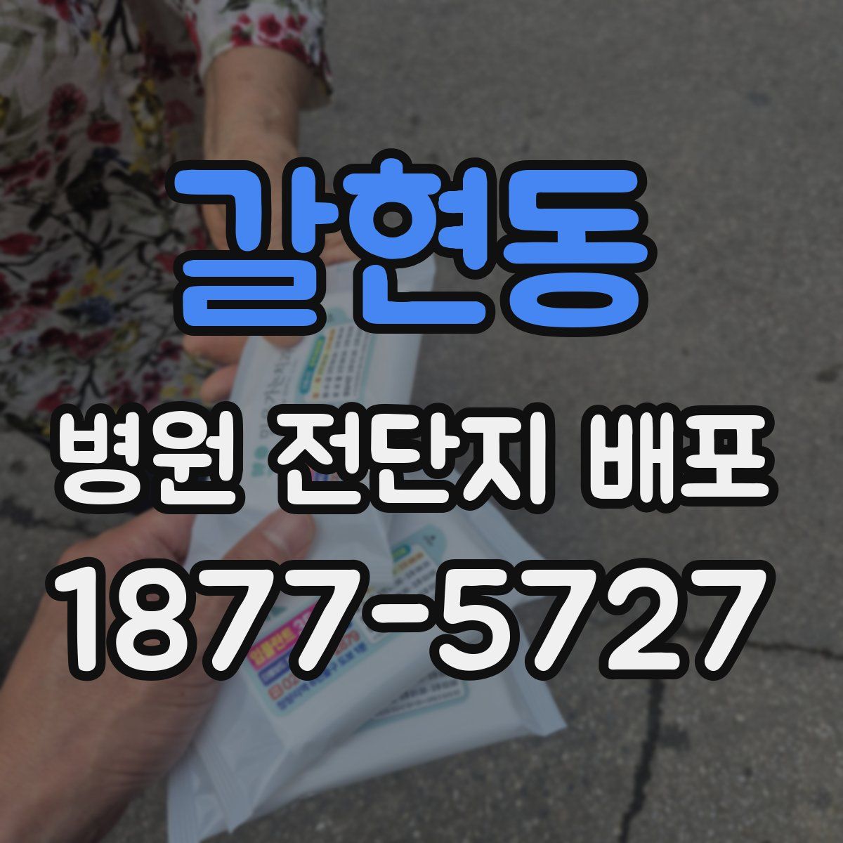 갈현동 병원 전단지 배포