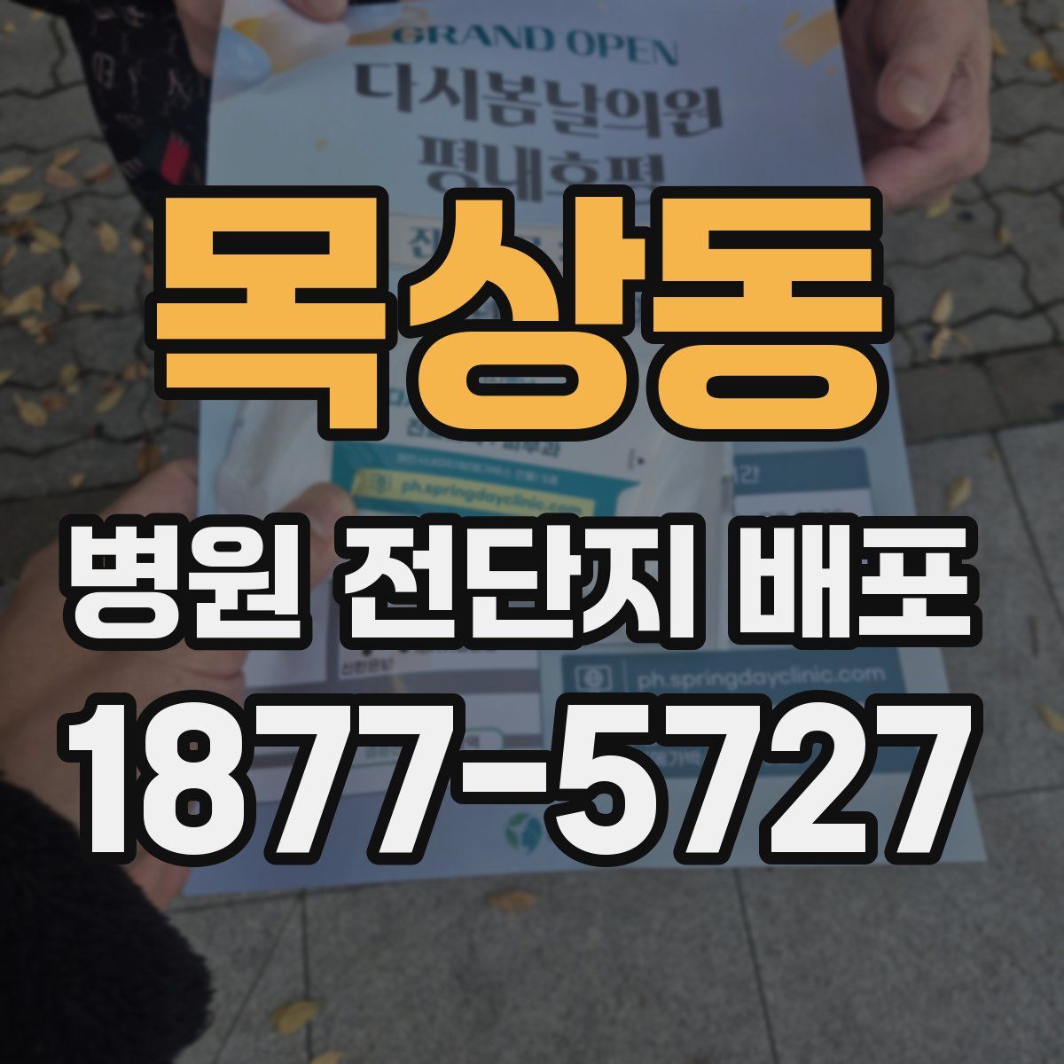 목상동 병원 전단지 배포
