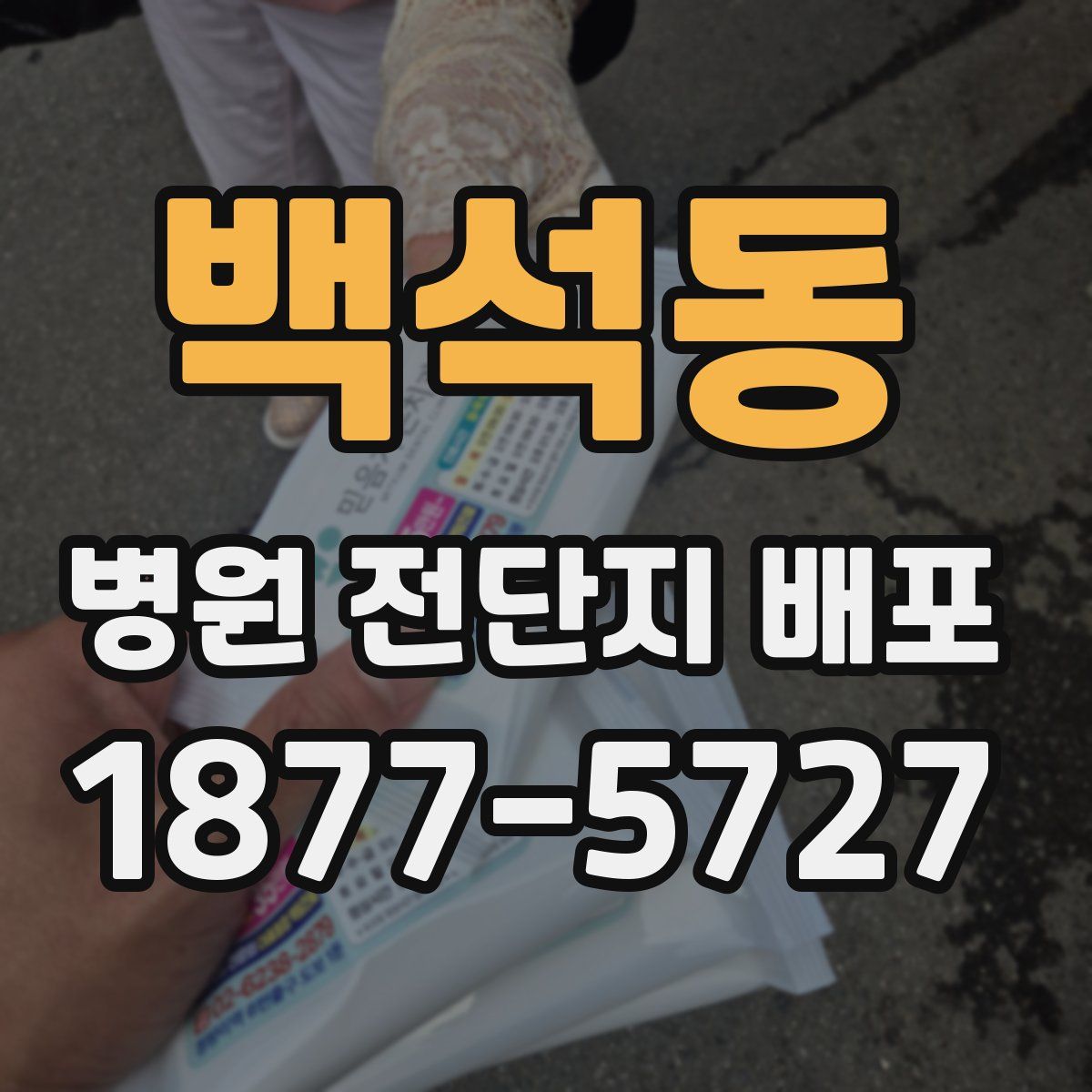 백석동 병원 전단지 배포