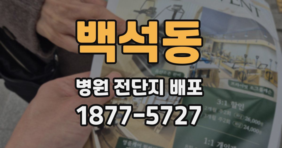 백석동 병원 전단지 배포