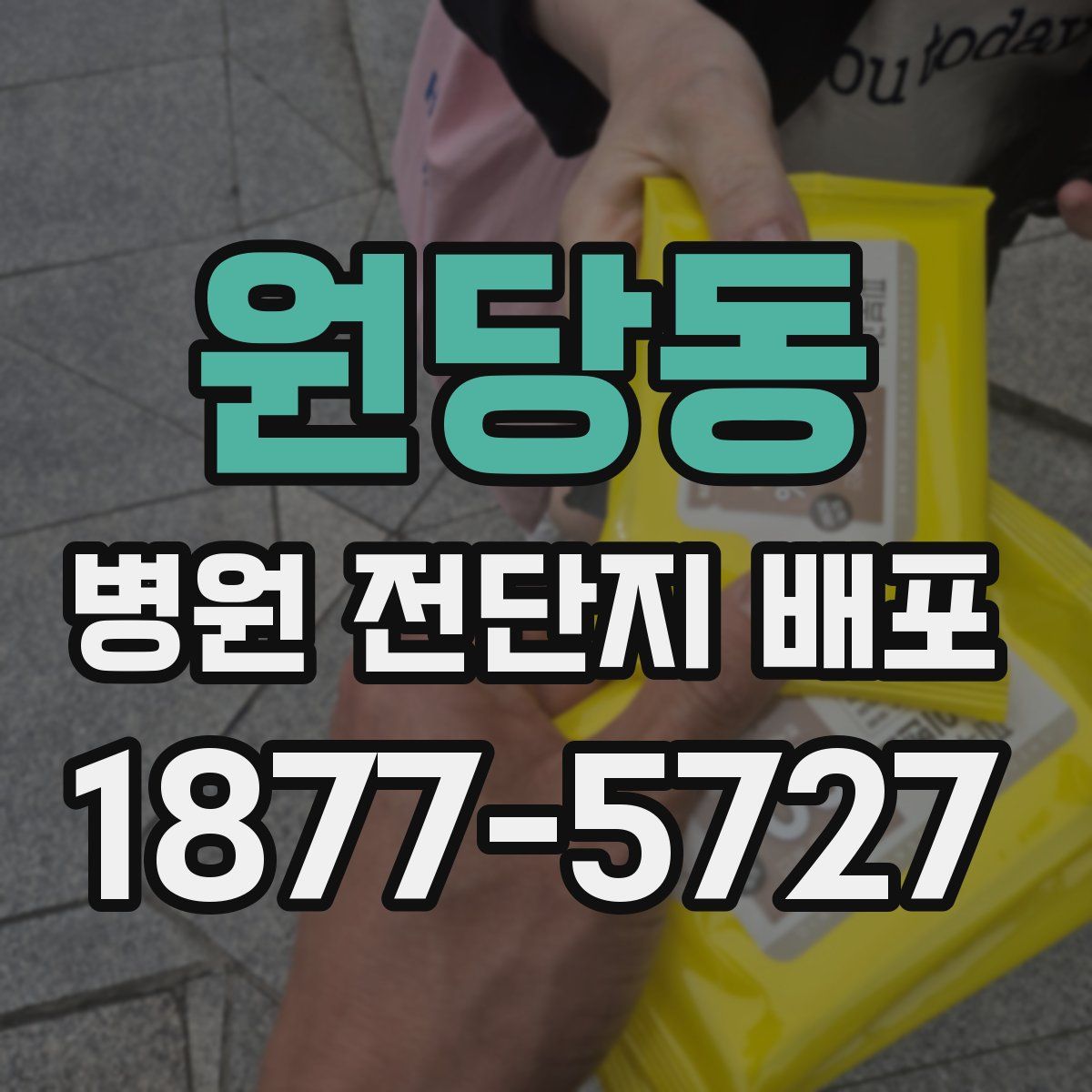 원당동 병원 전단지 배포