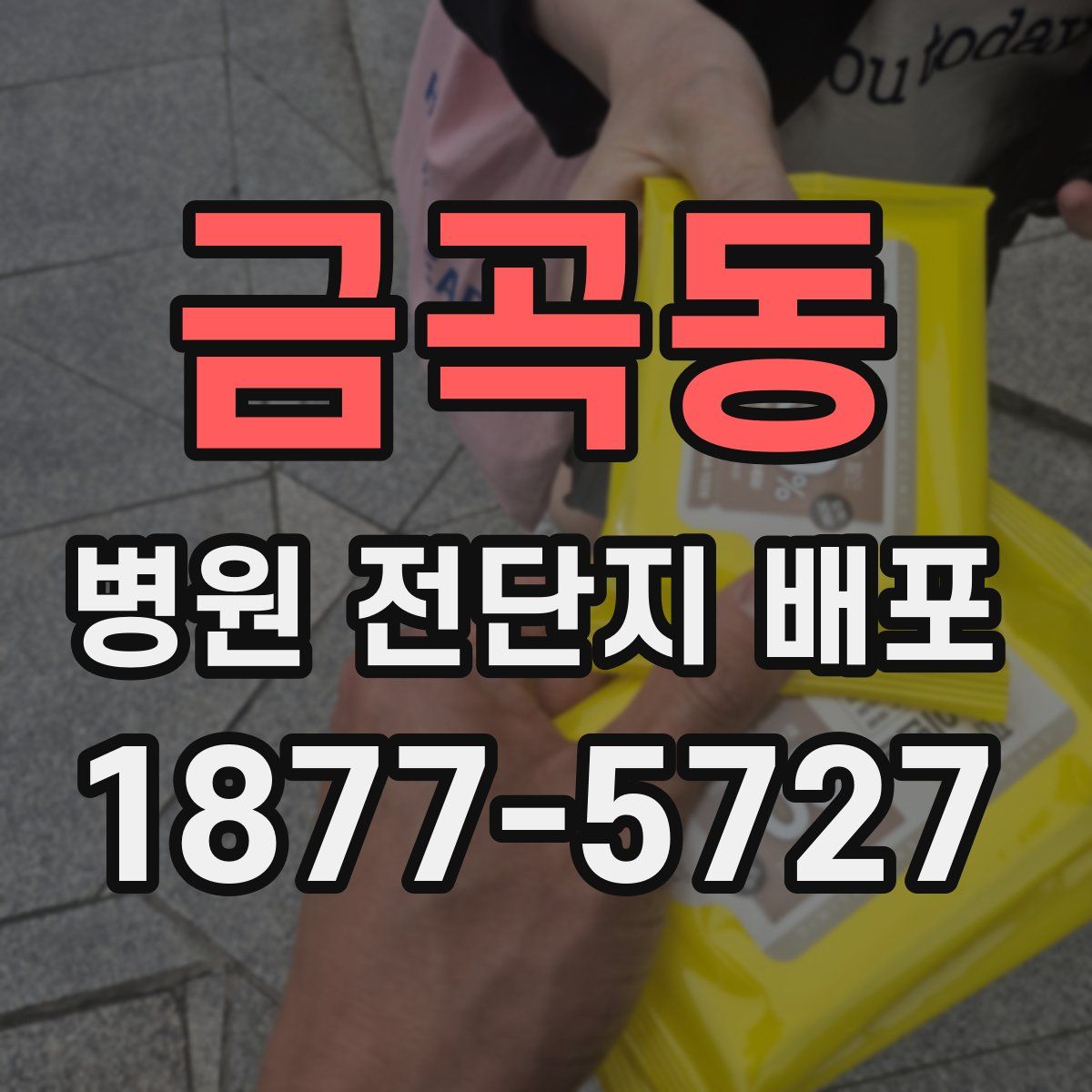 금곡동 병원 전단지 배포