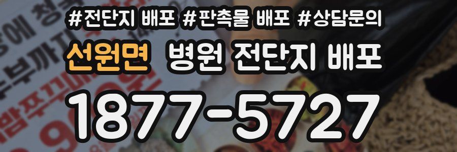 선원면 병원 전단지 배포
